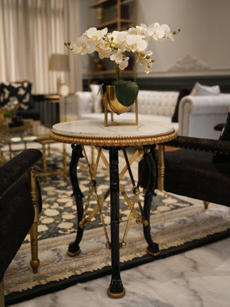 Compact Elegance